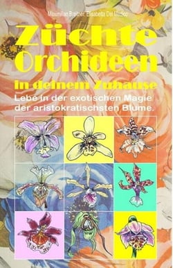 Züchte Orchideen in deinem Zuhause. Lebe in der exotischen Magie der aristokratischsten Blume.