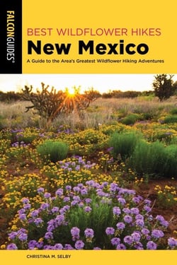 Best Wildflower Hikes New Mexico - A Guide to the Area's Greatest Wildflower Hiking Adventures
