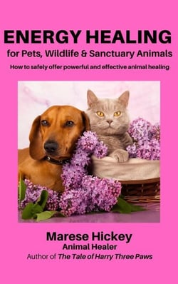 Energy Healing for Pets, Wildlife and Sanctuary Animals - How to Safely Offer Powerful &amp; Effective Animal Healing