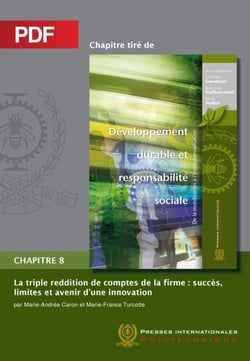 La triple reddition de comptes de la firme: succès, limites et avenir d'une innovation (Chapitre PDF)