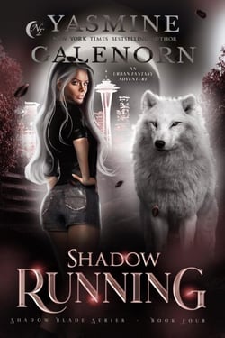 Shadow Running: An Urban Fantasy Adventure - Shadow Blade Series, #4