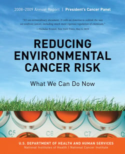 Reducing Environmental Cancer Risk: What We Can Do Now - 2008-2009 Annual Report President's Cancer Panel