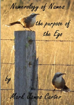 Numerology of Names - the Purpose of the Ego - Life Path Numerology, #7