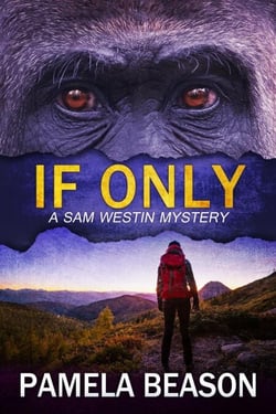 If Only - A Sam Westin Mystery, #7