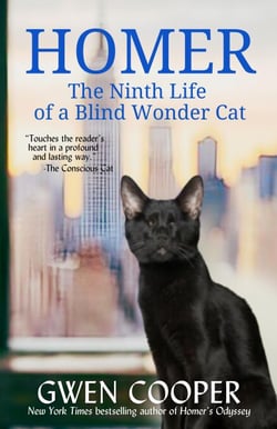 Homer: The Ninth Life of a Blind Wonder Cat - The Adventures of Homer!, #2