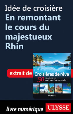 Idée de croisière - En remontant le cours du majestueux Rhin