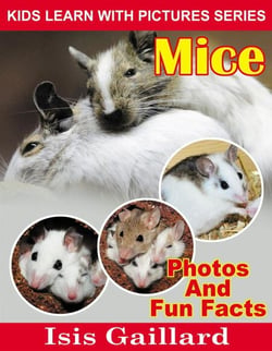 Mice Photos and Fun Facts for Kids - Kids Learn With Pictures, #132