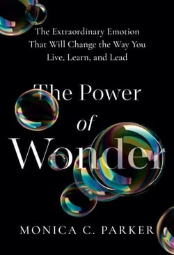 The Power of Wonder - The Extraordinary Emotion That Will Change the Way You Live, Learn and Lead