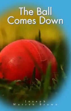 The Ball Comes Down - Joey's Adventures, #2