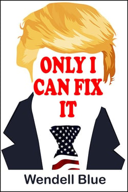 Only I Can Fix It