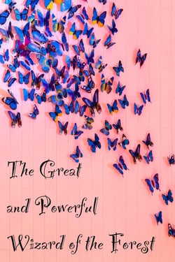 The Great and Powerful Wizard of the Forest - Colorville Chronicles, #1