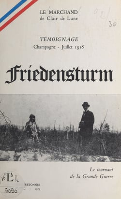 Friedensturm : le tournant de la Grande Guerre - Témoignage, Champagne, juillet 1918