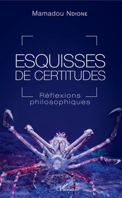 Esquisses de certitudes - Réflexions philosophiques