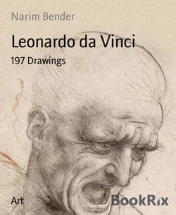 Leonardo da Vinci - 197 Drawings