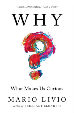 Why? - What Makes Us Curious