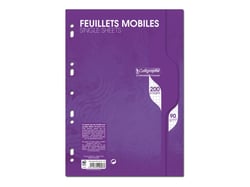 Feuilles simples A4 21 x 29.7 cm - 200 pages petits carreaux - Calligraphe - Clairefontaine - 90 g/m² - Blanc