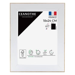 Cadre 18 x 24 Newton Bois       