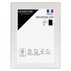 Cadre 20 x 30/A4 Newton Bois    