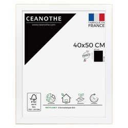 Cadre 40 x 50 Newton Bois       