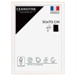 Cadre 50 x 70 Newton Bois       