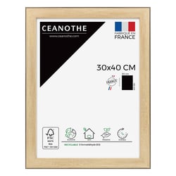 Cadre 30 x 40 Newton Bois Noir  