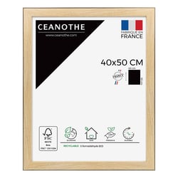 Cadre 40 x 50 Newton Bois Noir  
