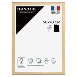 Cadre 50 x 70 Newton Bois Noir  