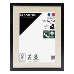 Cadre 18 x 24 Palma Noir        