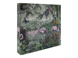 Panodia - Album - Flamant rose