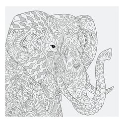 Album photos à colorier - Elephant