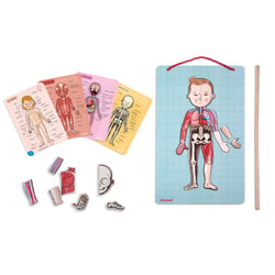 Body Magnet L'Anatomie - 11 langues