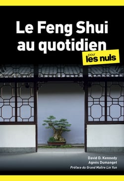 Le Feng Shui au quotidien pour les Nuls - | habitat, énergie, équilibre, aménagement, harmonie