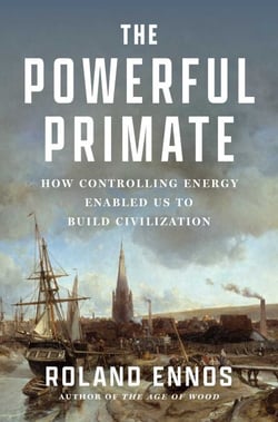 The Powerful Primate - How Controlling Energy Enabled Us to Build Civilization