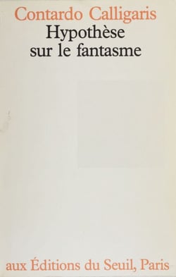 Hypothèse sur le fantasme