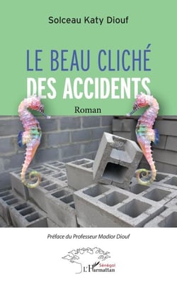 Le beau cliché des accidents - Roman