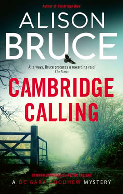 The Calling - Book 2 of the Darkness Rising Series