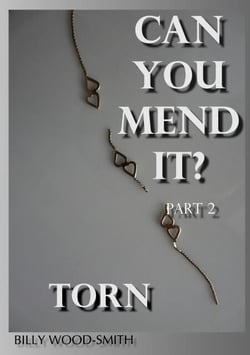 Can You Mend It? Part 2 - Torn - 'Can You Mend It?' Series, #2