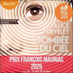 Tombée du ciel - Suivi d'un entretien avec l'autrice