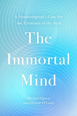The Immortal Mind - A Neurosurgeon's Case for the Existence of the Soul