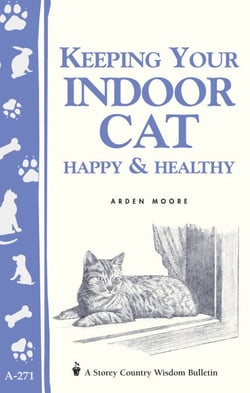Keeping Your Indoor Cat Happy &amp; Healthy