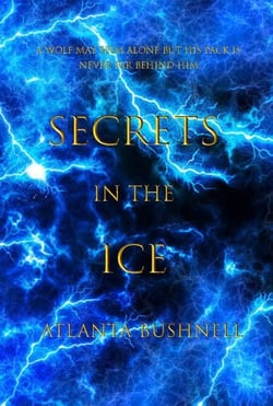 Secrets in the Ice - The Fire Song Chronicles, #2