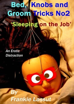 Bed, Knobs and Groom Tricks 2, Sleeping On the Job. - Erotic Distractions, #10