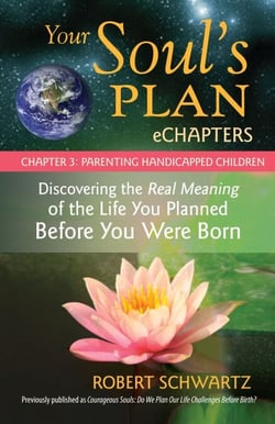 Your Soul's Plan eChapters - Chapter 3: Parenting Handicapped Children - Discovering the Real Meaning of the Life You Planned Before You Were Born