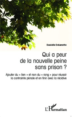 Qui a peur de la nouvelle peine sans prison ? - Ajouter du "lien" et non du "rang" pour réussir la contrainte pénale et en finir avec la récidive