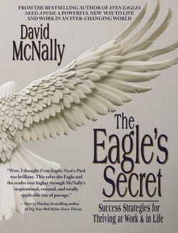 The Eagle's Secret - Success Strategies for Thriving at Work &amp; in Life