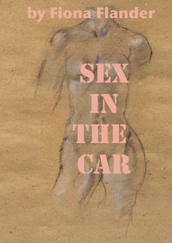 Sex In The Car