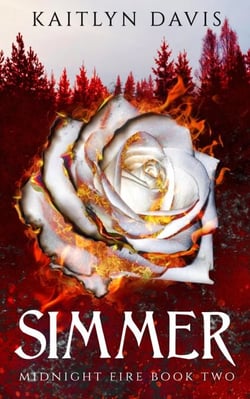 Simmer (Midnight Fire Series Book Two) - Midnight Fire, #2