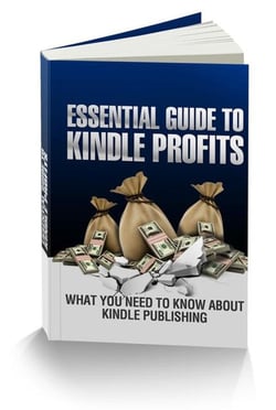 Essential Guide To Kindle Profits - Kindle Publishing Money, #2