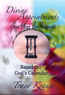 Divine Appointments: One Year Devotional Based On God's Calendar - Divine Appointments: Daily Devotionals Based On God's Calendar, #5