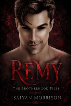 Remy. The Brotherhood Files - The Brotherhood Files, #2